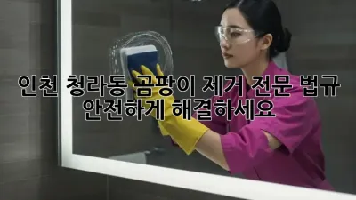 인천 청라동 곰팡이 제거 전문: 법규 & 안전하게 해결하세요!
